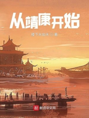 《从靖康开始》