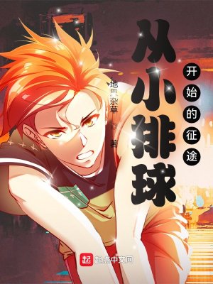 《从小排球开始的征途》