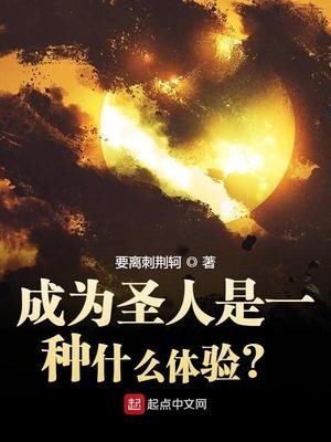 《成为圣人是一种什么体验?》