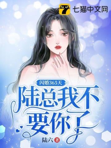 《闪婚365天,陆总我不要你了》