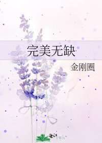 《完美无缺》