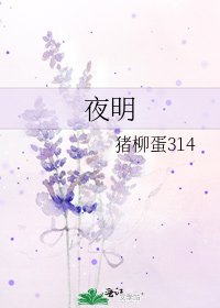 《夜明》