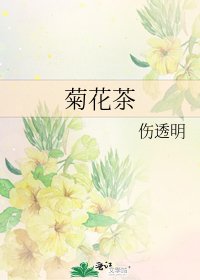 《菊花茶》