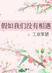 假如我们没有相遇