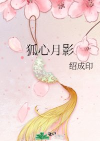 《狐心月影》