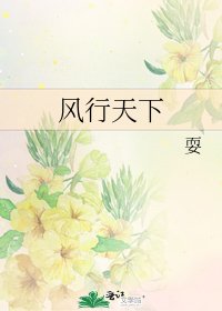 《风行天下》