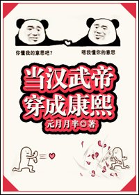 《当汉武帝穿成康熙(清穿)》