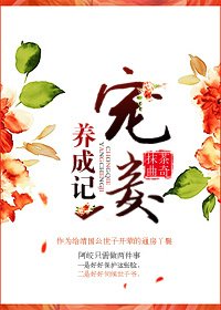 《宠妾养成记》