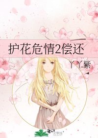 《护花危情2偿还》