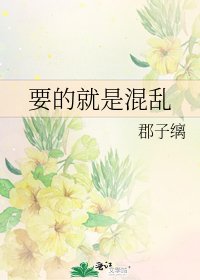 《要的就是混乱》