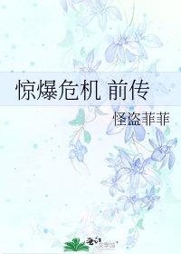 《惊爆危机 前传》