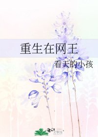 《重生在网王》