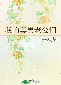 我的美男老公们
