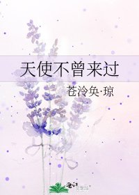《天使不曾来过》
