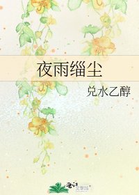 《夜雨缁尘》