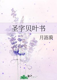 《圣字贝叶书》