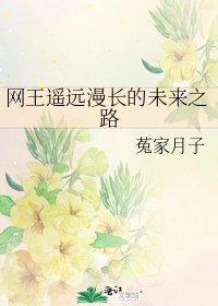 《网王遥远漫长的未来之路》
