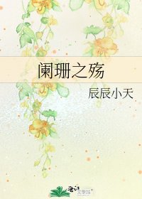 阑珊之殇