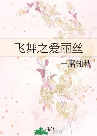 《飞舞之爱丽丝》