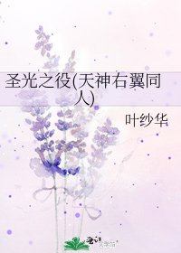 圣光之役(天神右翼同人)
