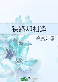 《狭路却相逢》
