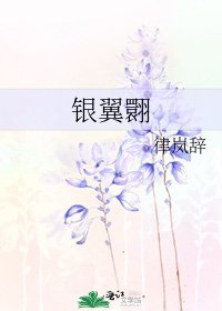 《银翼翾》