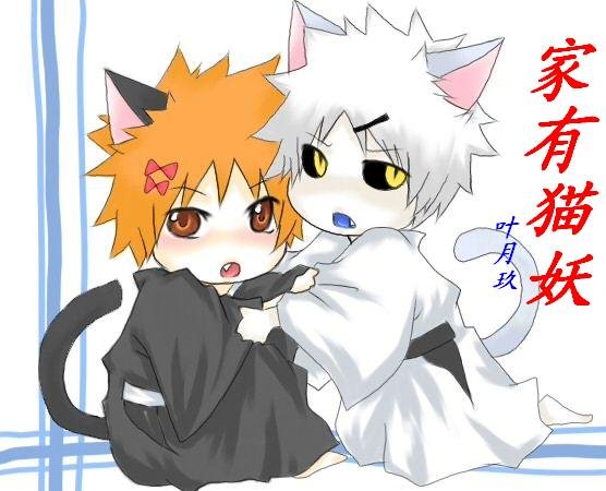 《(死神白一同人)家有猫妖》