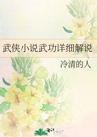 《武侠武功详细解说》