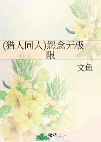 《(猎人同人)怨念无极限》