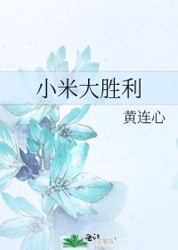 《小米大胜利》