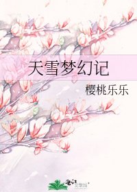 《天雪梦幻记》