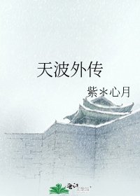 天波外传