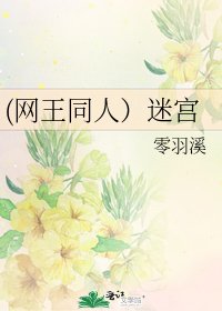 《(网王同人)迷宫》