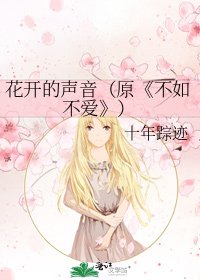 《不如不爱》