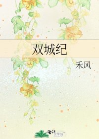 双城纪