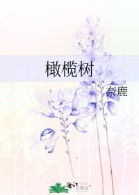 《橄榄树》