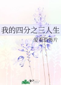 《我的四分之三人生》