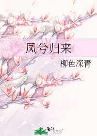 《凤兮归来》