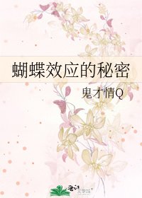 《蝴蝶效应的秘密》
