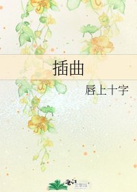 《插曲》