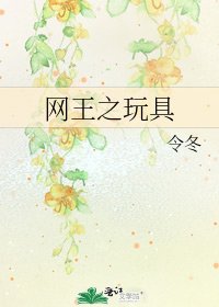 《网王之玩具》