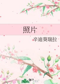 《照片》