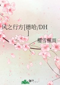 风之行方[德哈/DH]