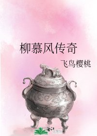 《柳慕风传奇》