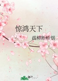 《惊鸿天下》