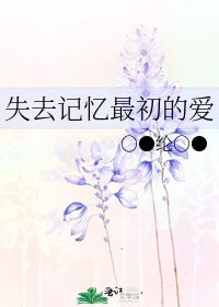 《失去记忆最初的爱》