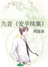 《九音(安辛续集)》