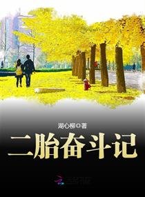 《二胎奋斗记》
