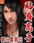 《贴身高手》