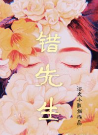 《错先生》